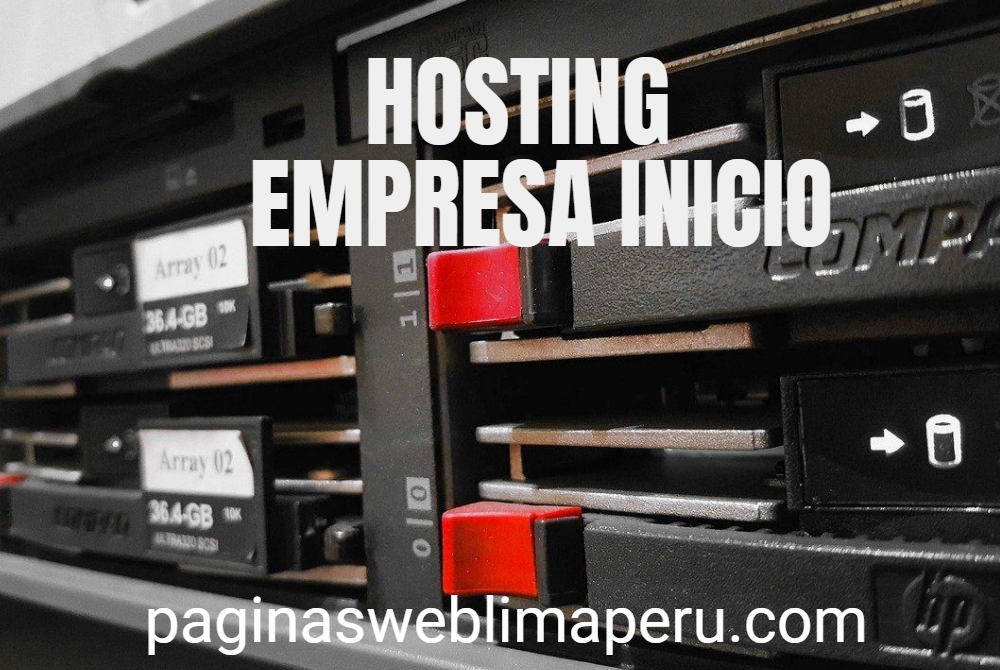 HOSTING INICIO EMPRESA